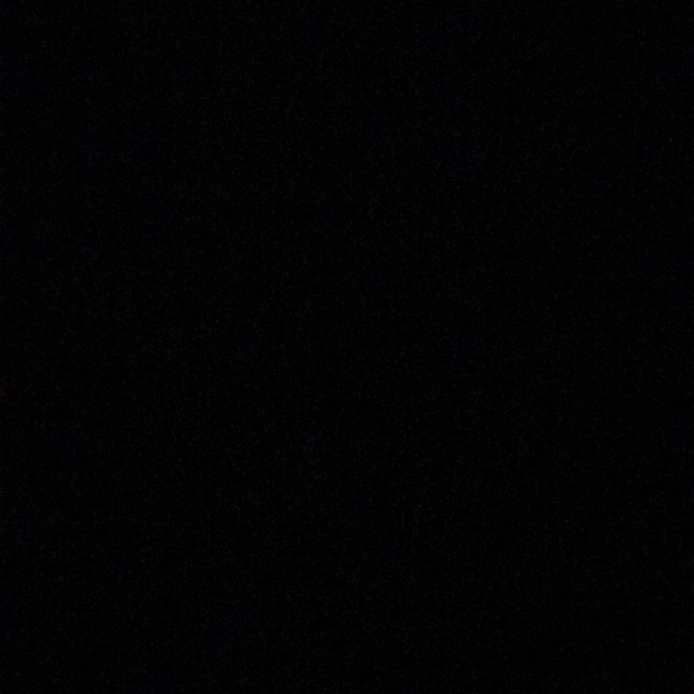 Meet your Posher, Gracie